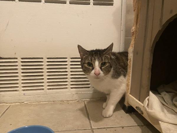 Tabitha — thumbnail 2