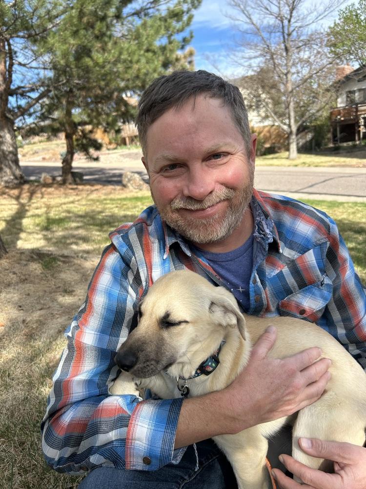 Enlarge Chytiller / Fanta, a Adoptable mixed breed in Broomfield, CO image 4/6