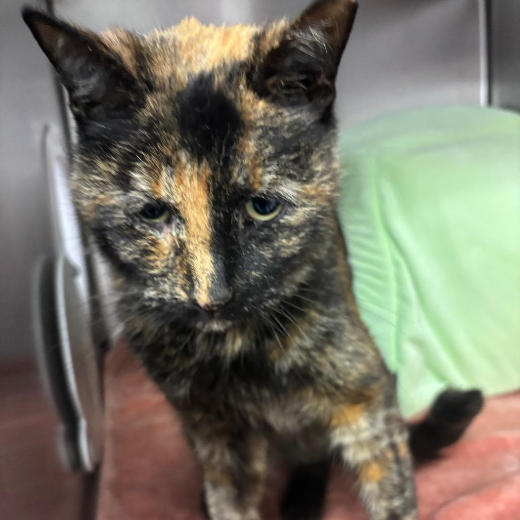 Maria — thumbnail 2