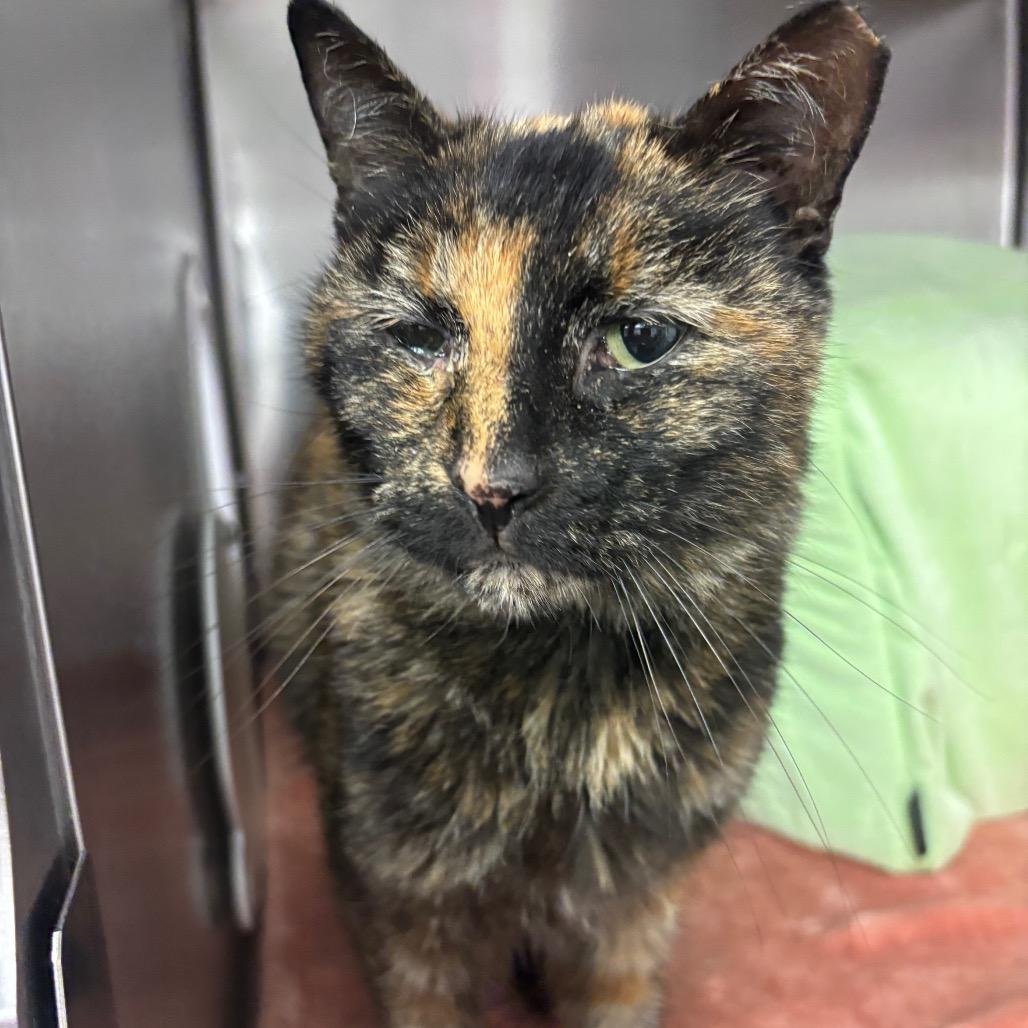 Maria — thumbnail 3