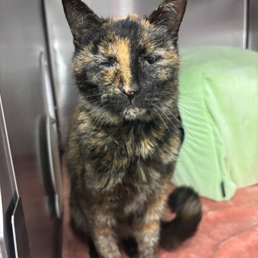 Maria — thumbnail 4