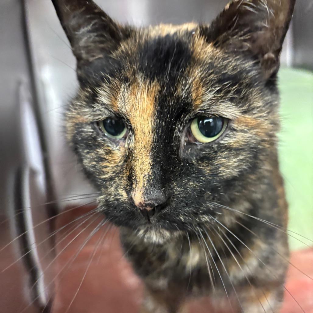 Maria — thumbnail 5