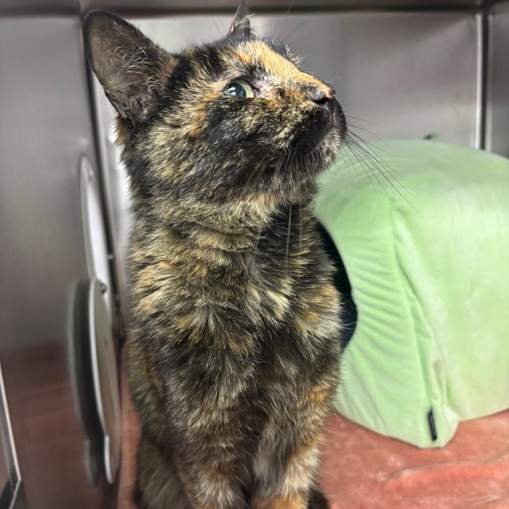 Maria — thumbnail 6