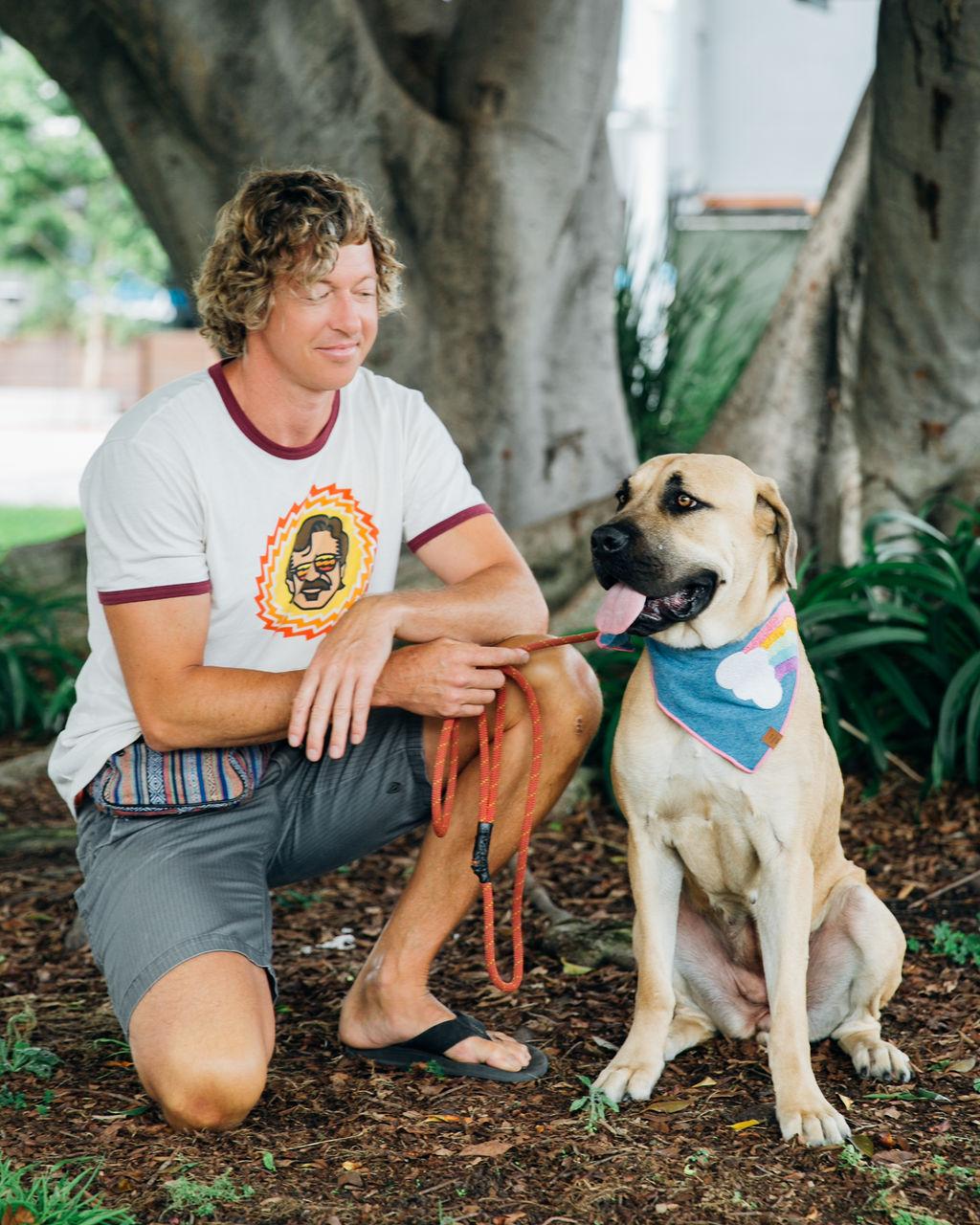 Cordelia Cupp, an adoptable Mastiff, Boerboel in Los Angeles, CA, 90035 | Photo Image 2
