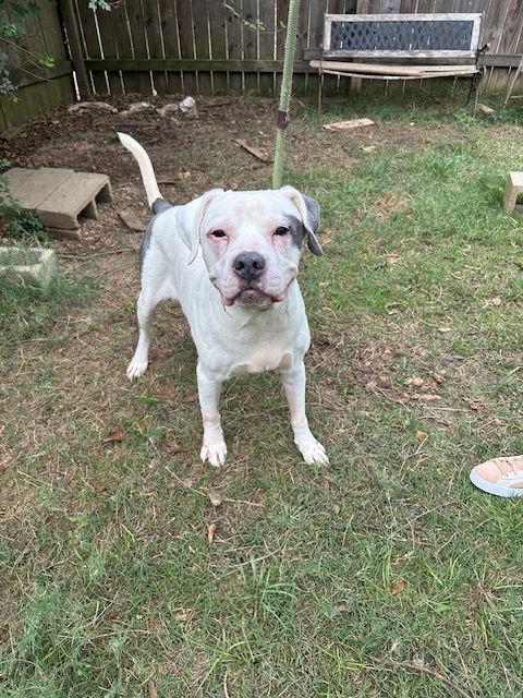 West — thumbnail 2