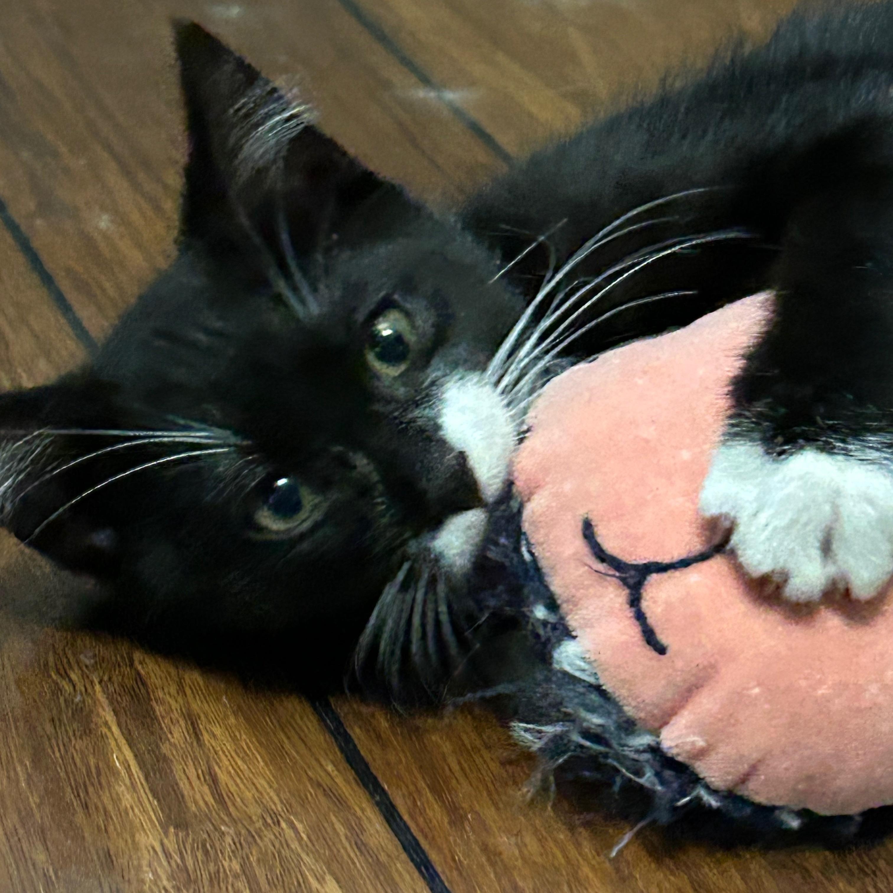 Flora (Bonded to Fauna Two for  One Special)