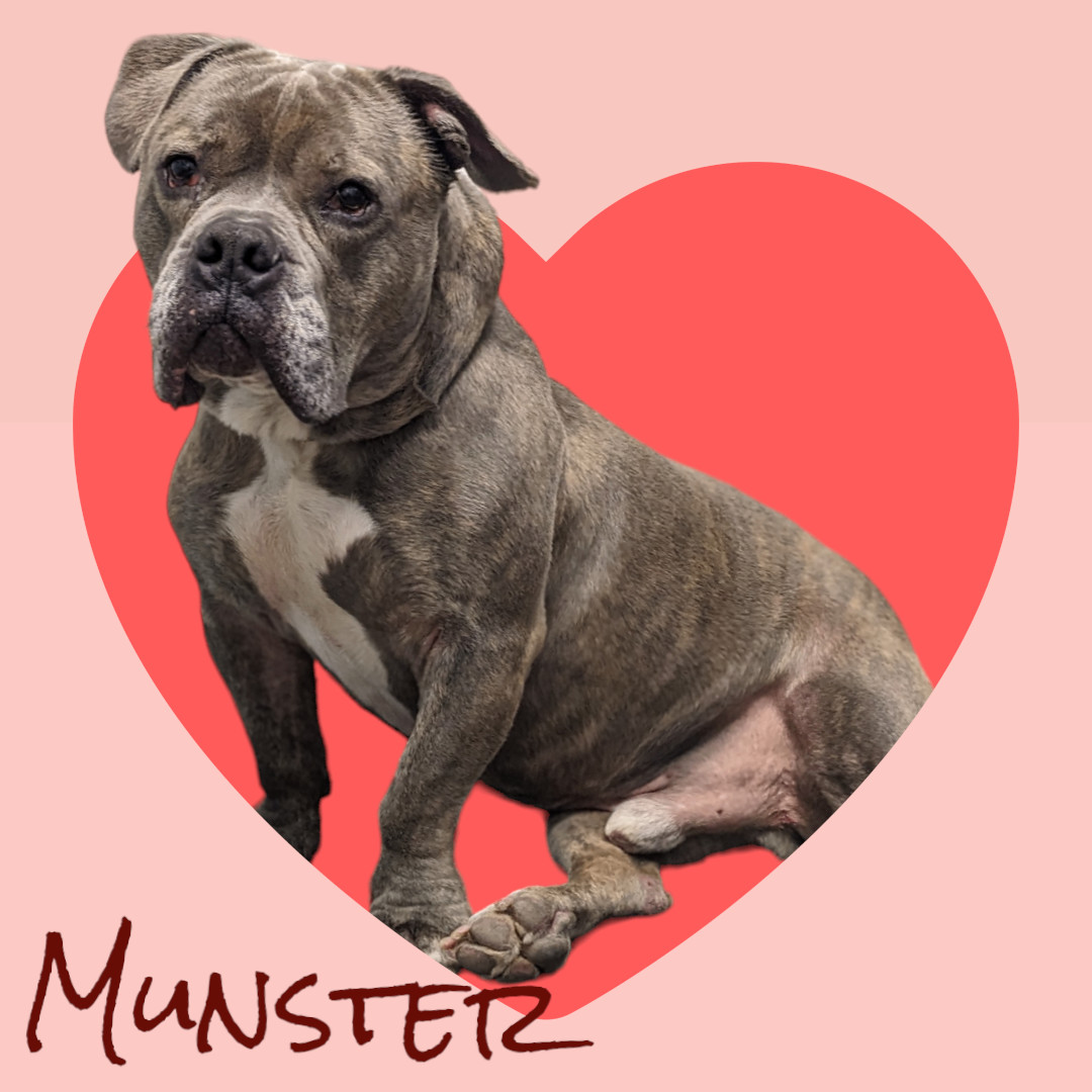 Munster