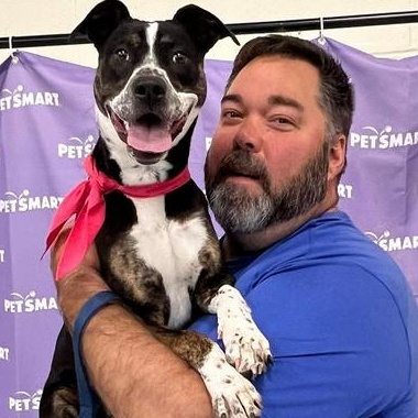 Enlarge BeBe, a ADOPTABLE mixed breed in Washington, PA image 2/6