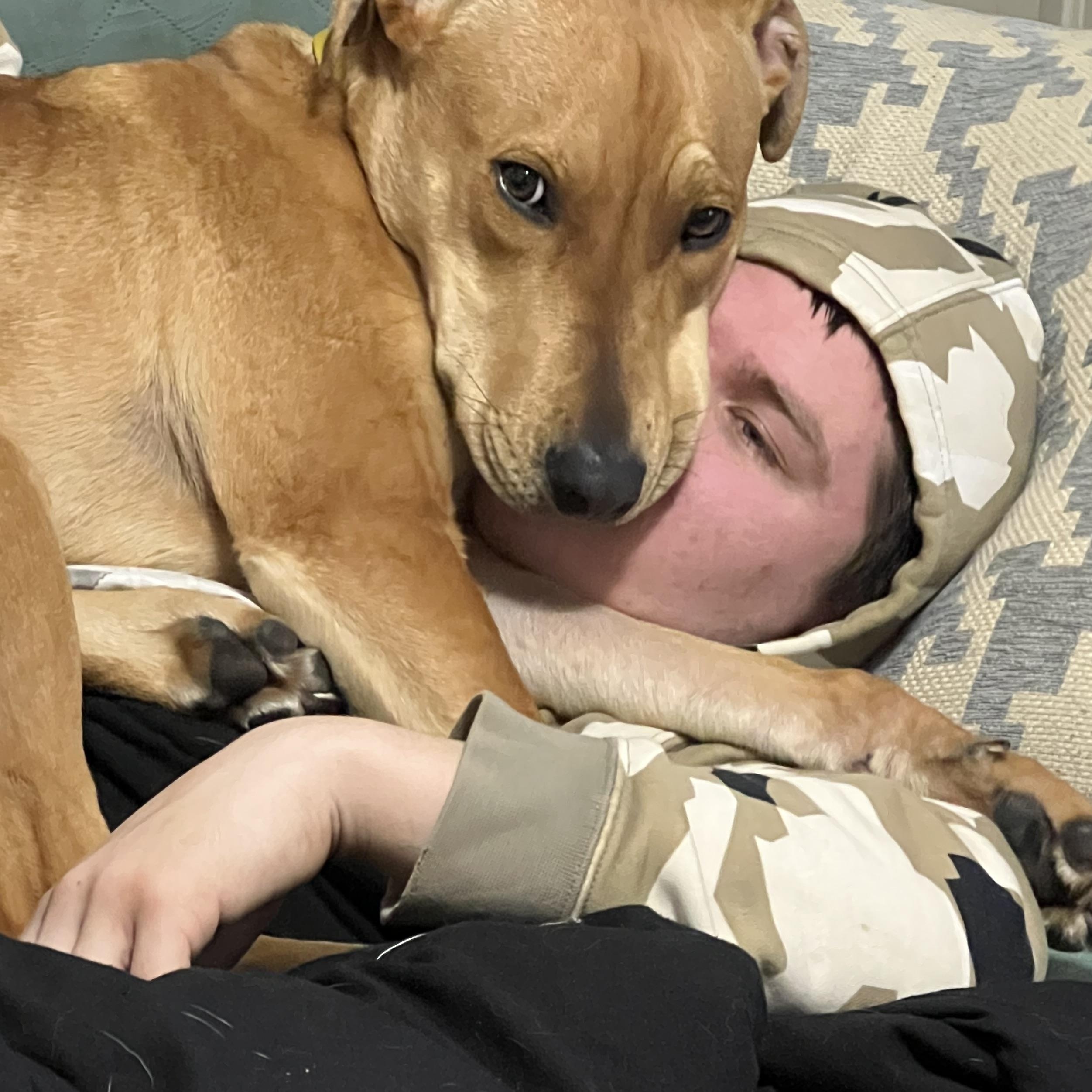 Enlarge Tucker Loyal, an adopted mixed breed in Andover, MA image 6/6