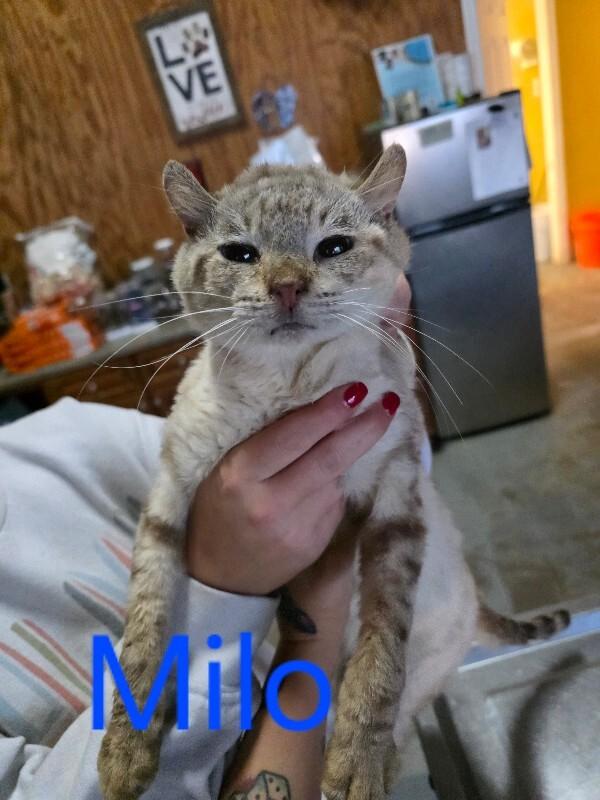 Milo