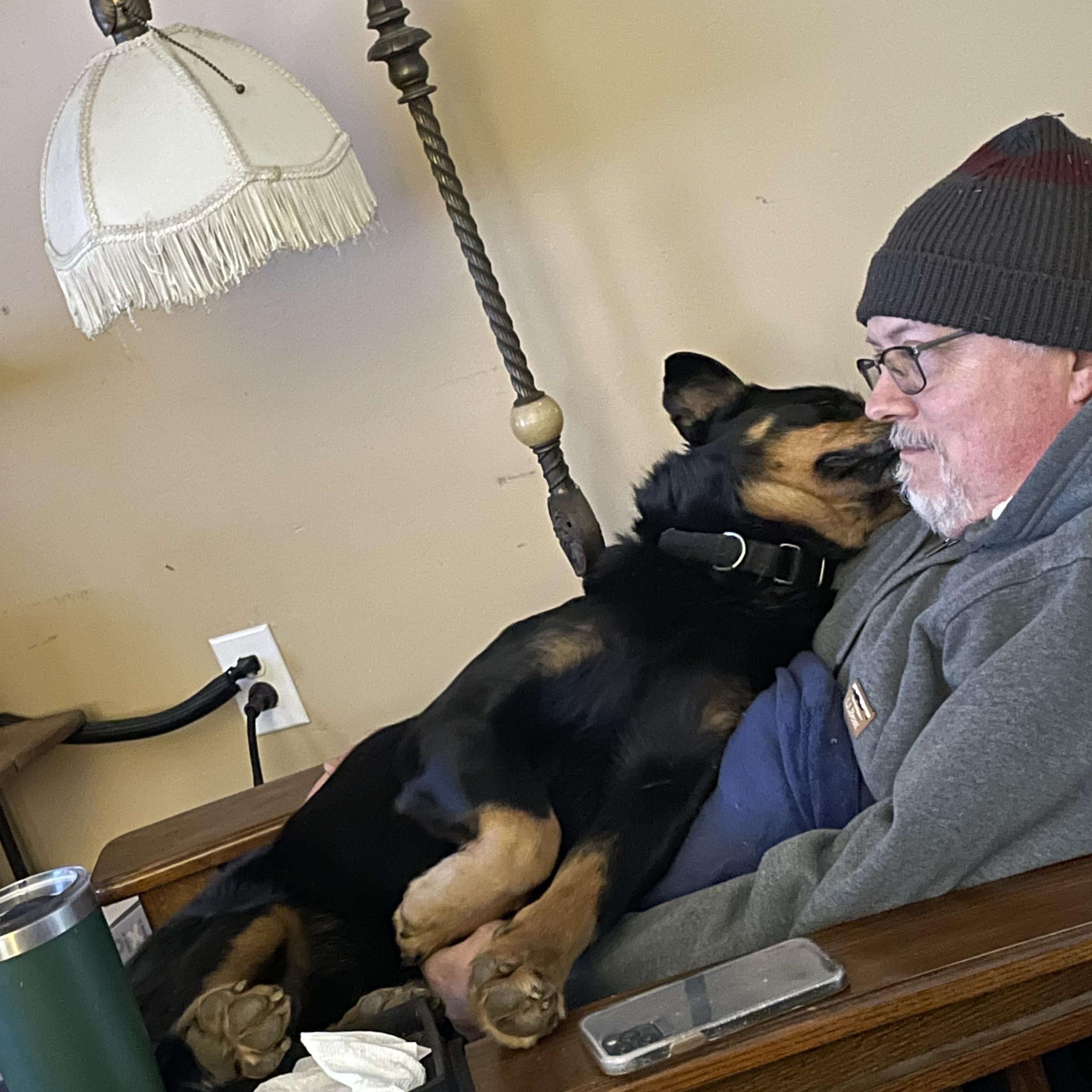 Enlarge Bear *Courtesy Post*, a ADOPTABLE mixed breed in Floyd, VA image 1/5