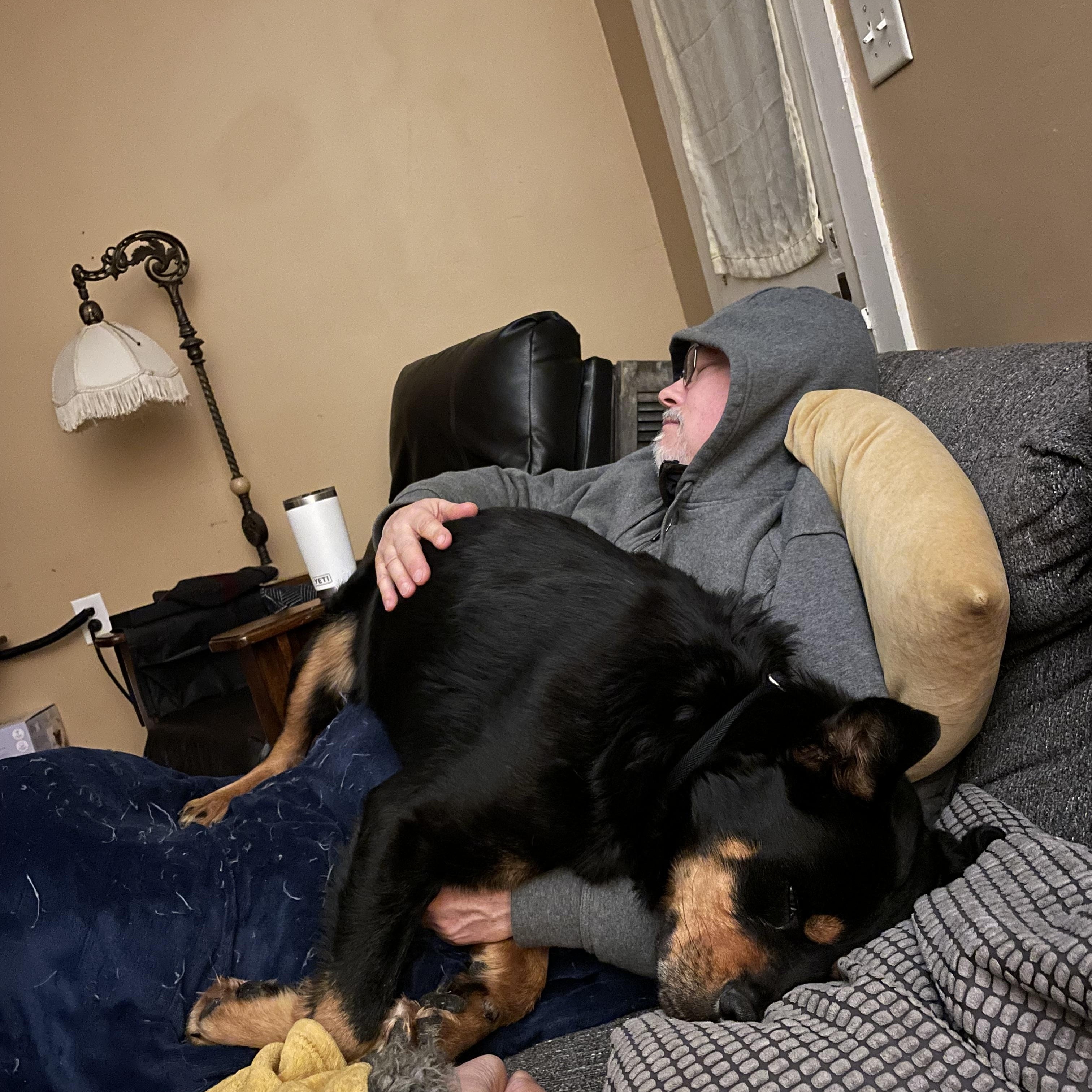 Enlarge Bear *Courtesy Post*, a ADOPTABLE mixed breed in Floyd, VA image 4/5