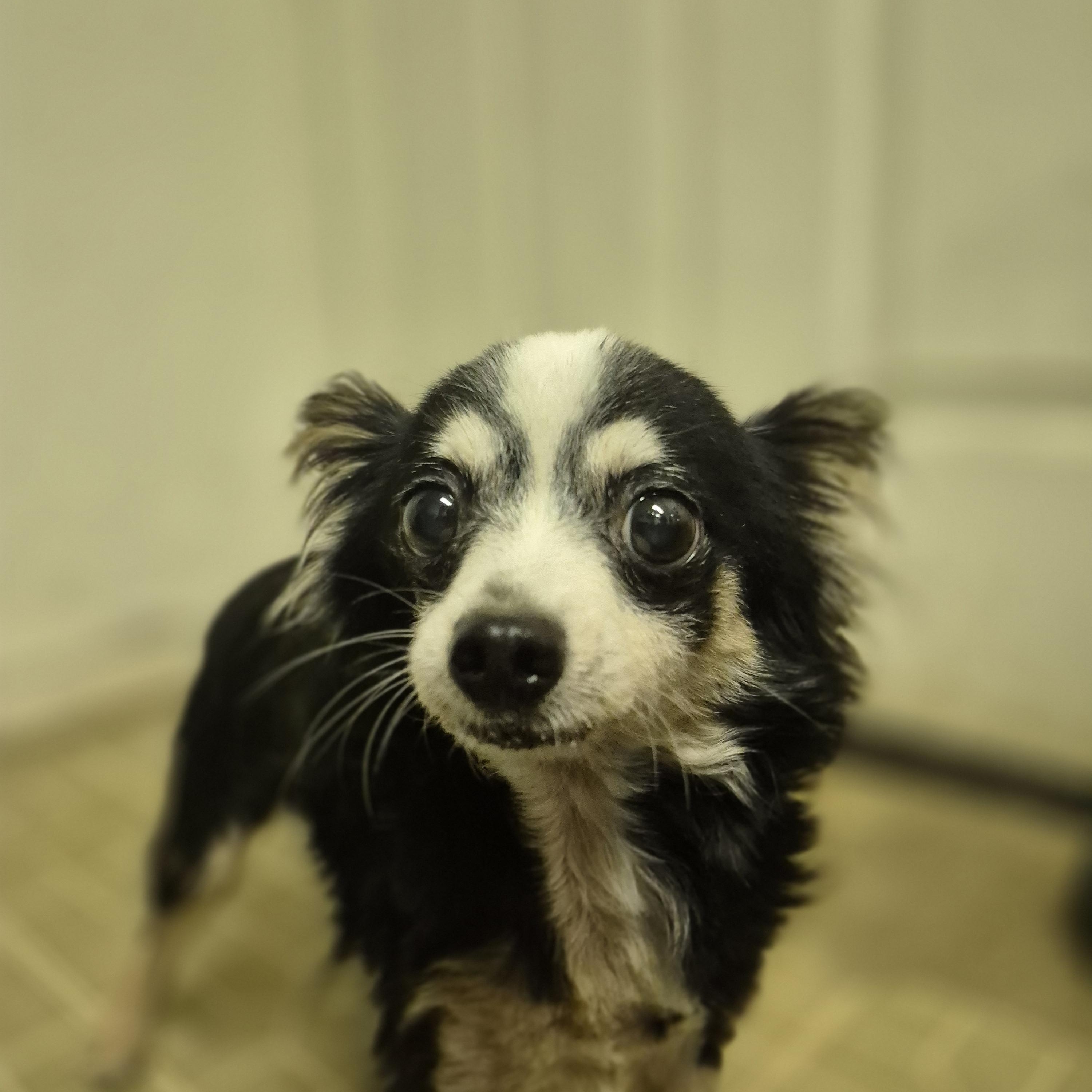 Lenny thumbnail 2