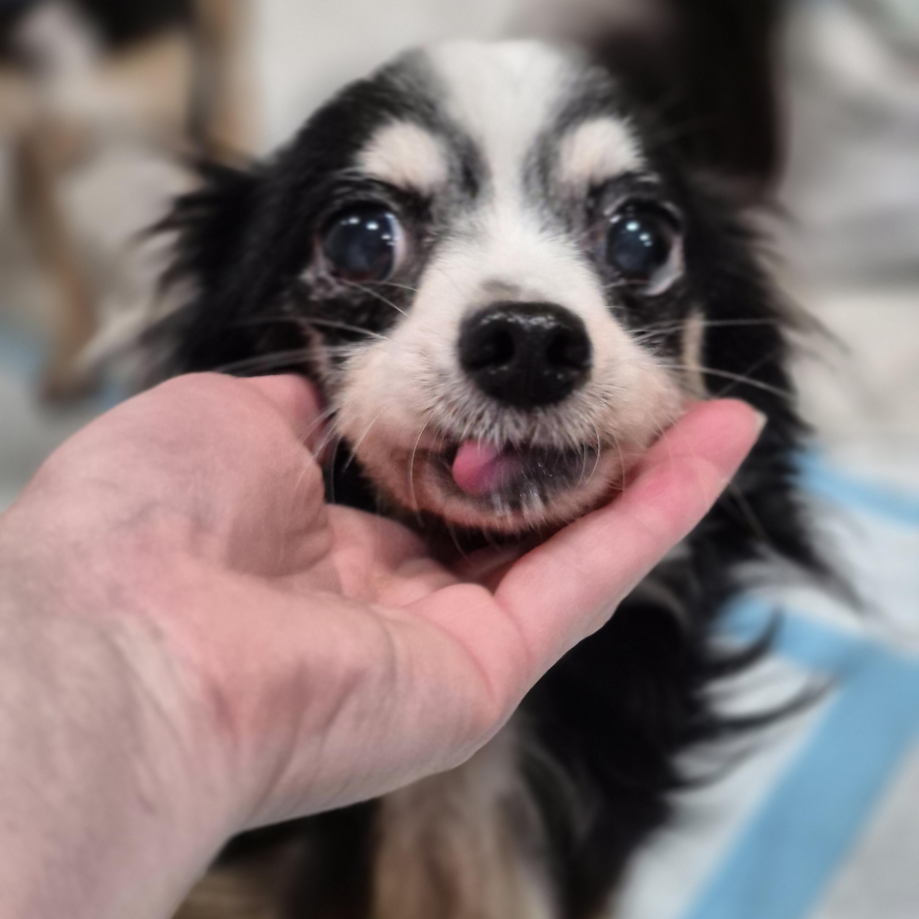 Lenny thumbnail 5