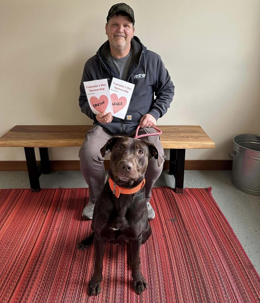 HERSHEY - FULLY SPONSORED! $0 TO ADOPT!, a Adoptable mixed breed in Rochester, IN image 4/6