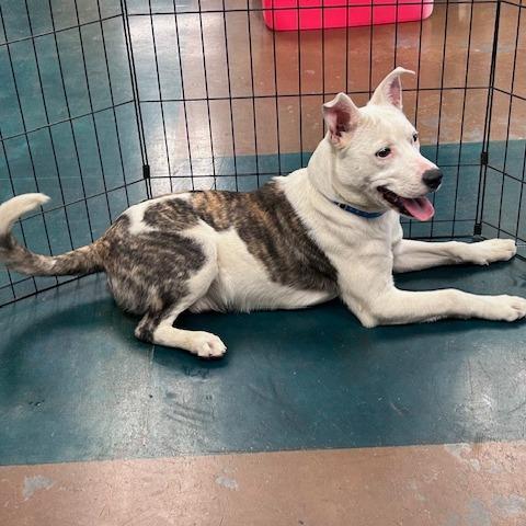 Mr Po Po — thumbnail 5