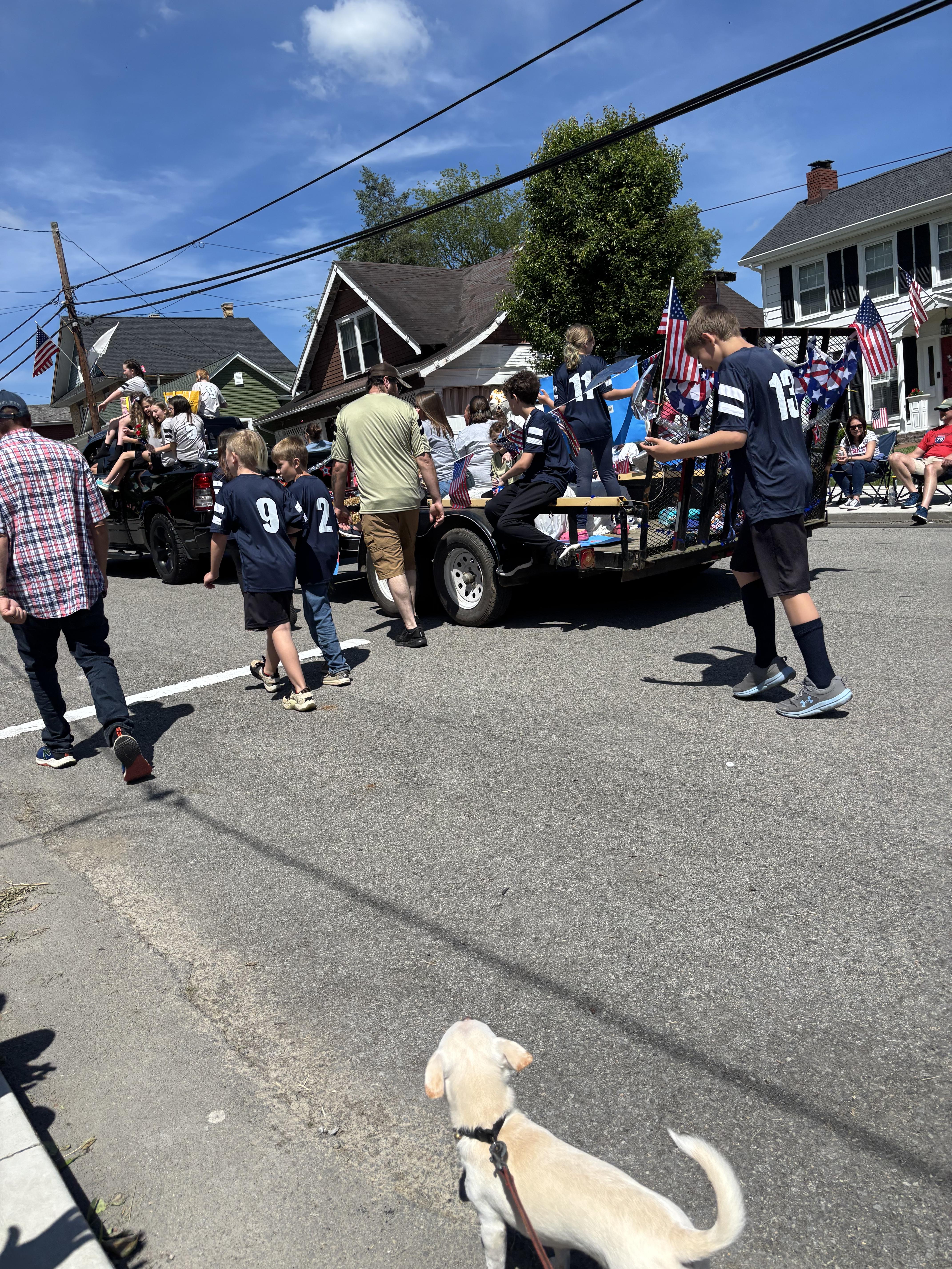 Enlarge Luna, a Adoptable mixed breed in Grafton, WV image 3/5