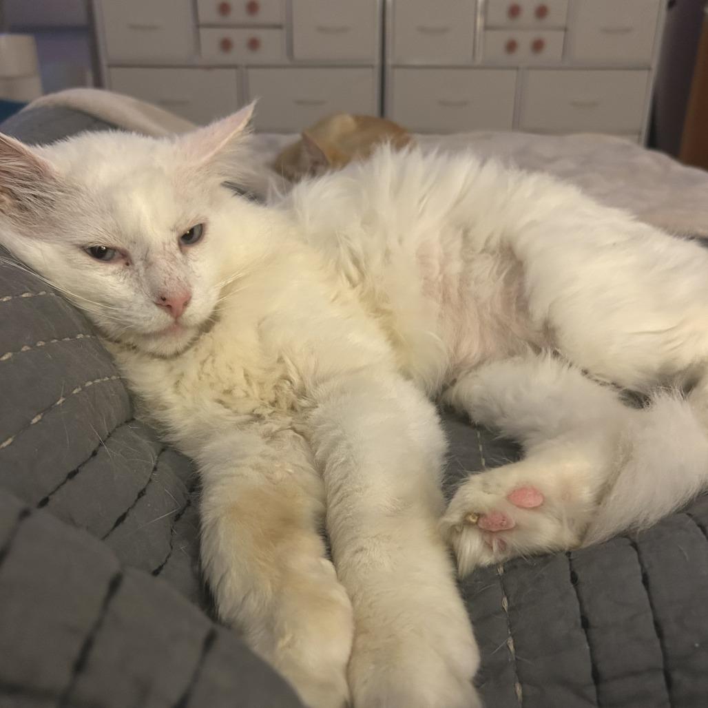 The Big Lebowski — thumbnail 5