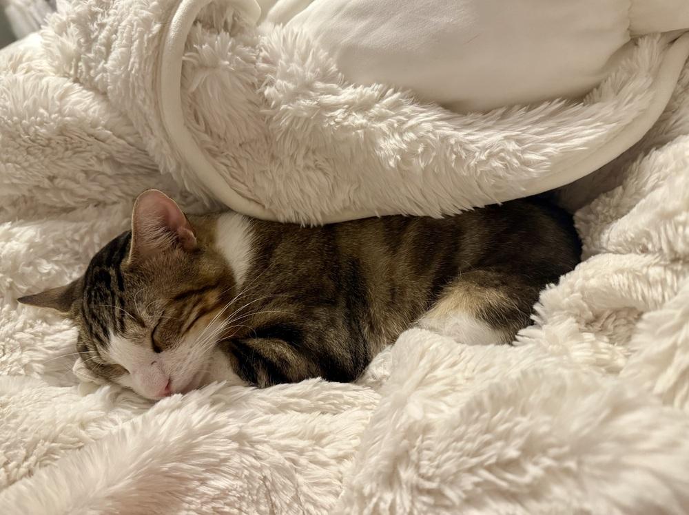 Slate — thumbnail 3