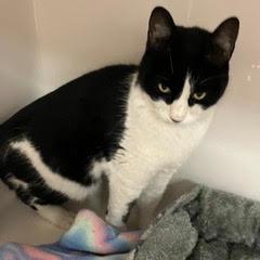 Avery — thumbnail 2