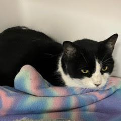 Avery — thumbnail 3