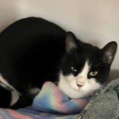 Avery — thumbnail 4