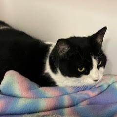 Avery — thumbnail 5