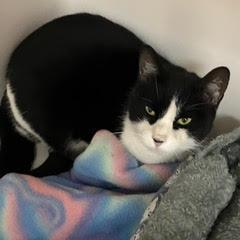 Avery — thumbnail 6