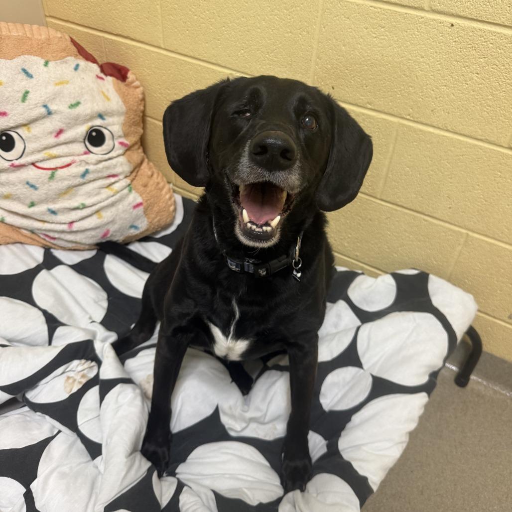 Taylor — thumbnail 3