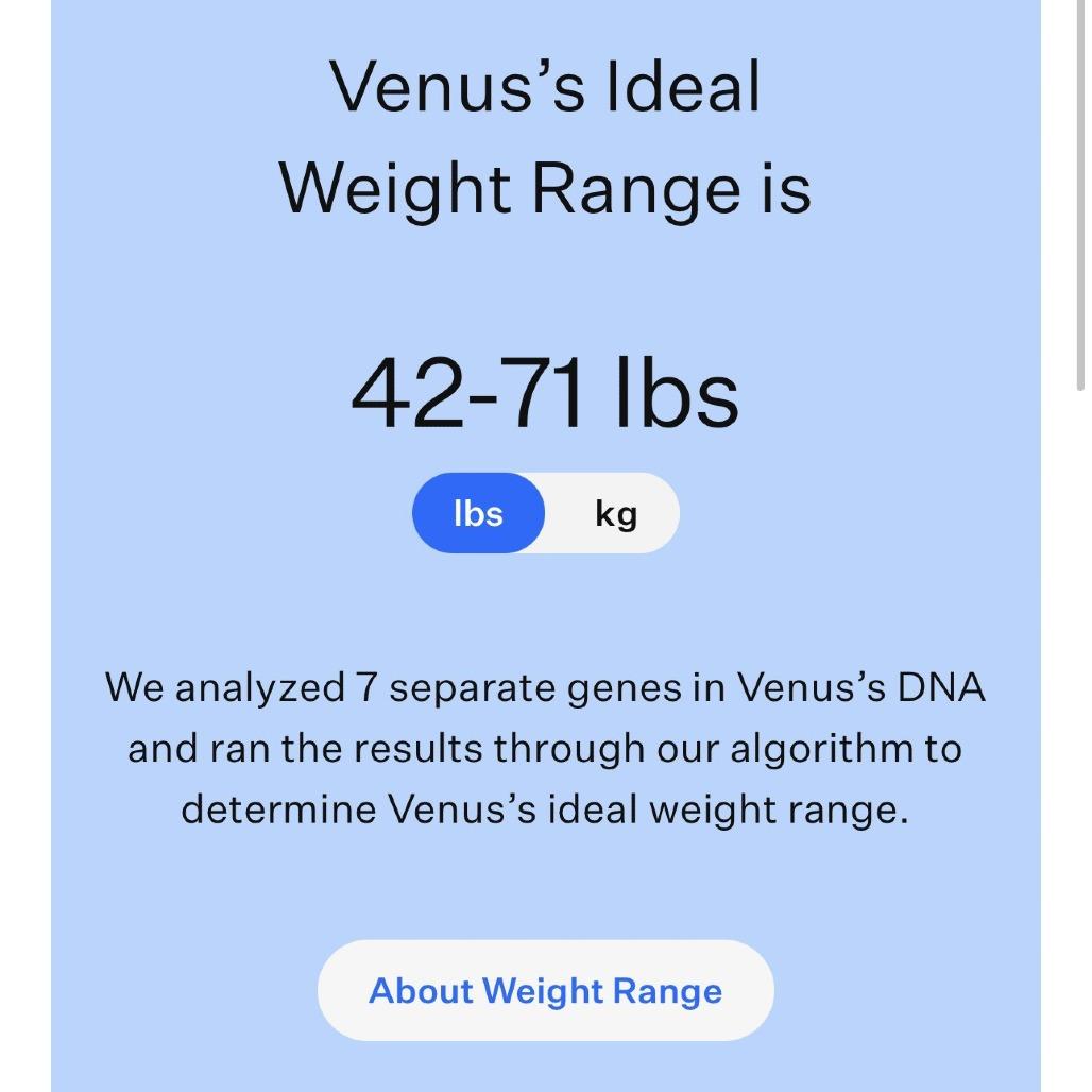 Enlarge Astra, a Adoptable Mixed Breed in Kansas City, MO image 1/4