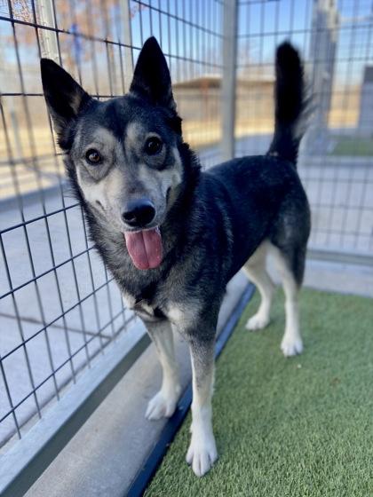 Trina — thumbnail 2