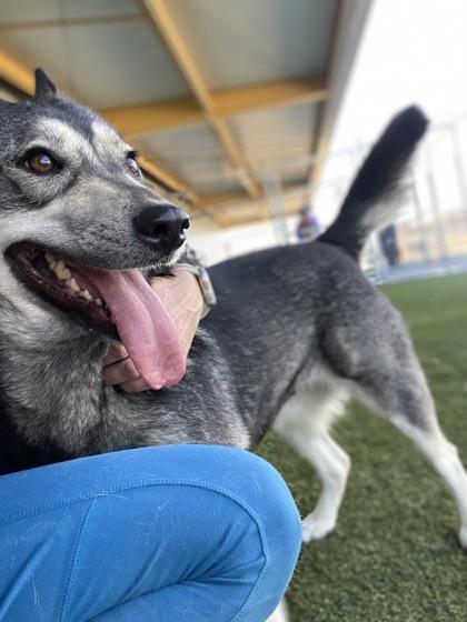 Trina — thumbnail 3