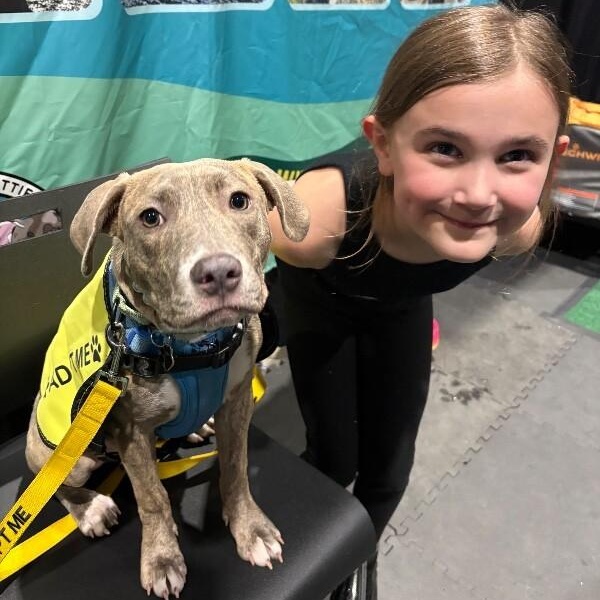 Tonya Terrific Brindle Beauty Wants You — thumbnail 3