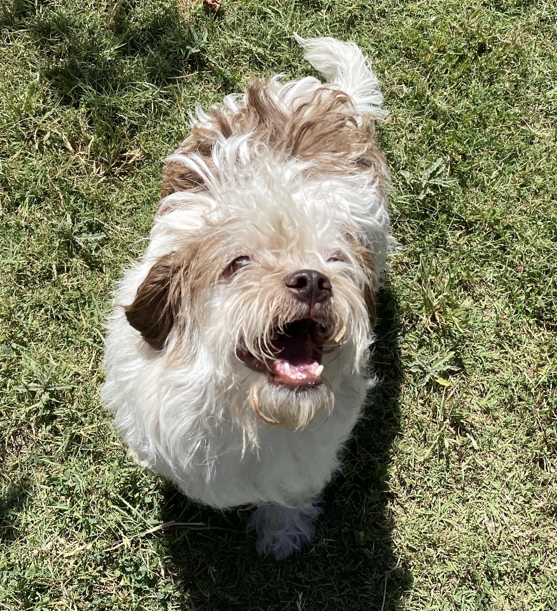 Rambo