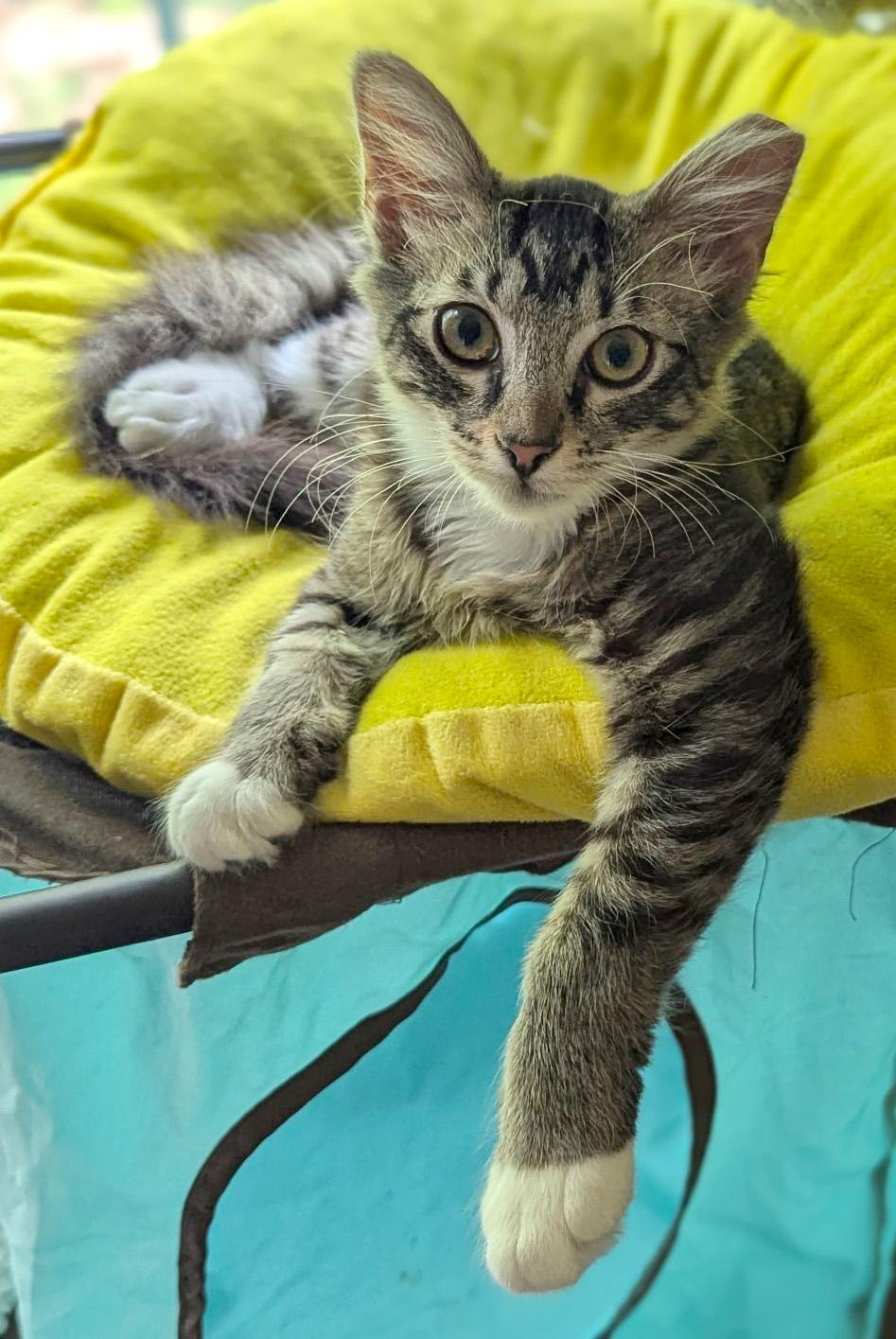 Timmy photo 1