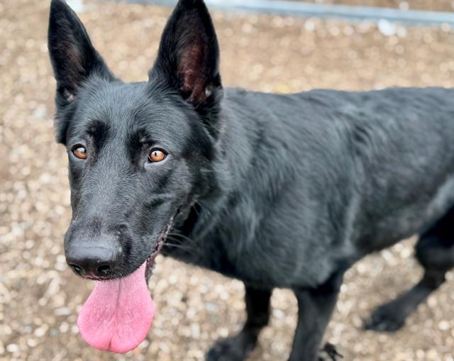 Summer A427574