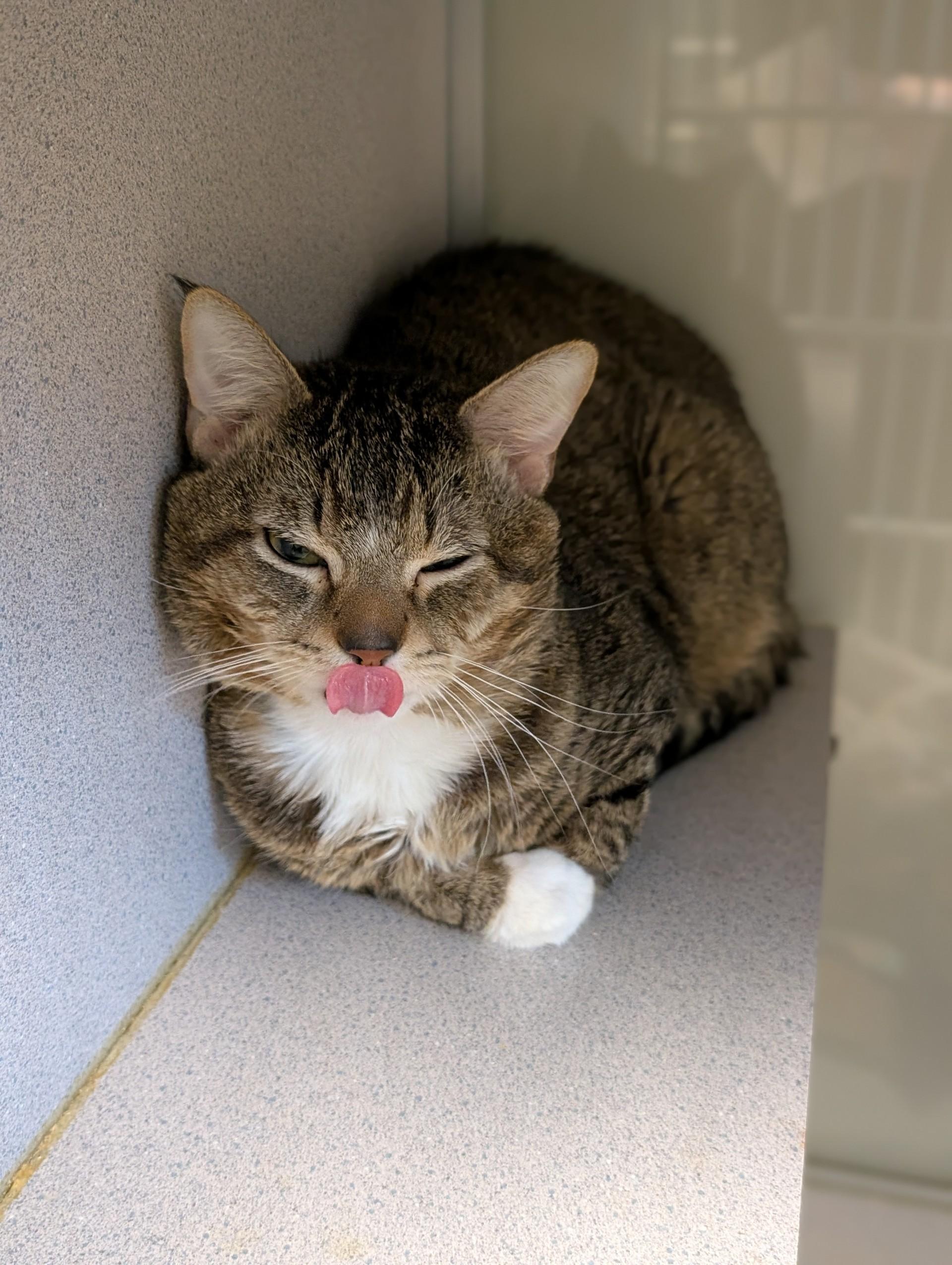 Fredrick — thumbnail 2