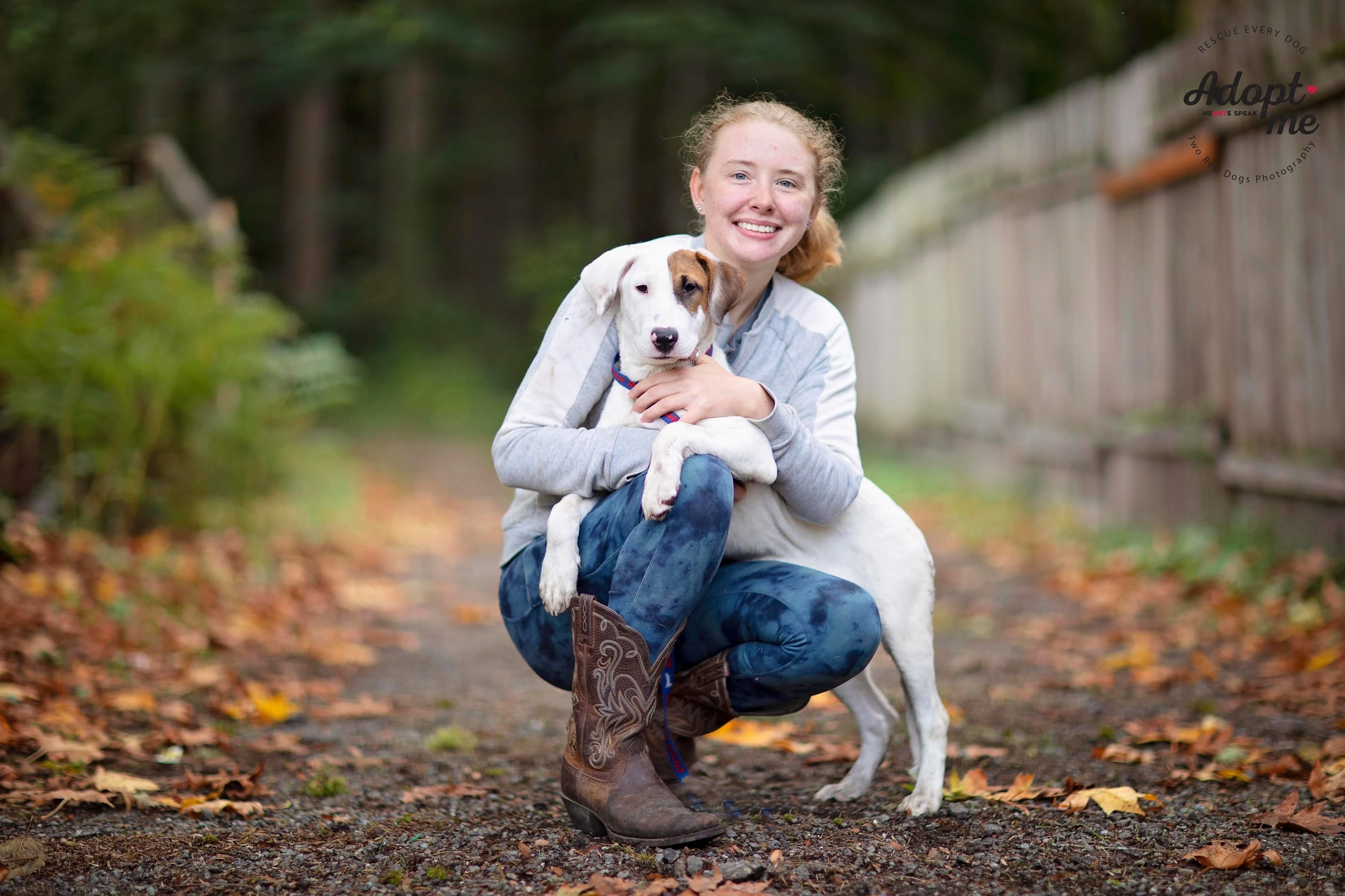 Enlarge Jodi, a Adoptable mixed breed in Seattle, WA image 5/11