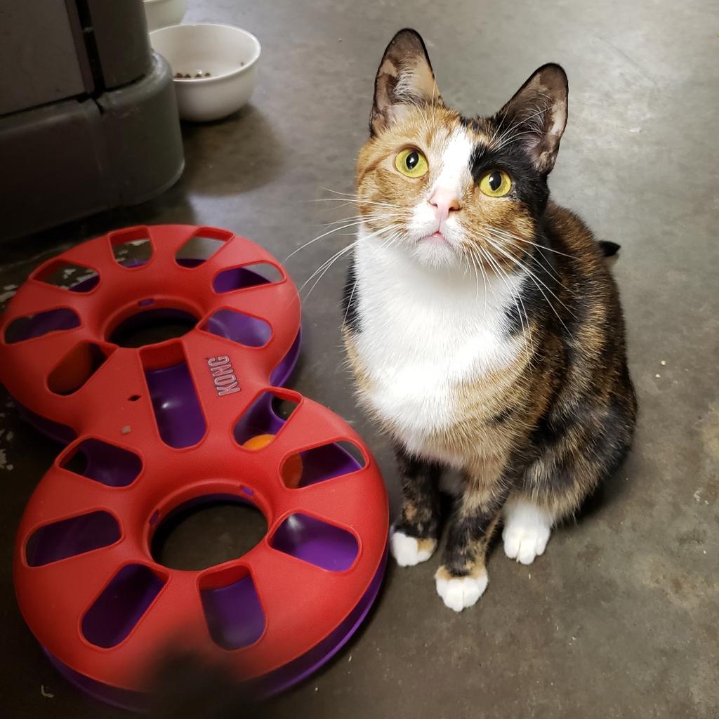 Silke — thumbnail 2