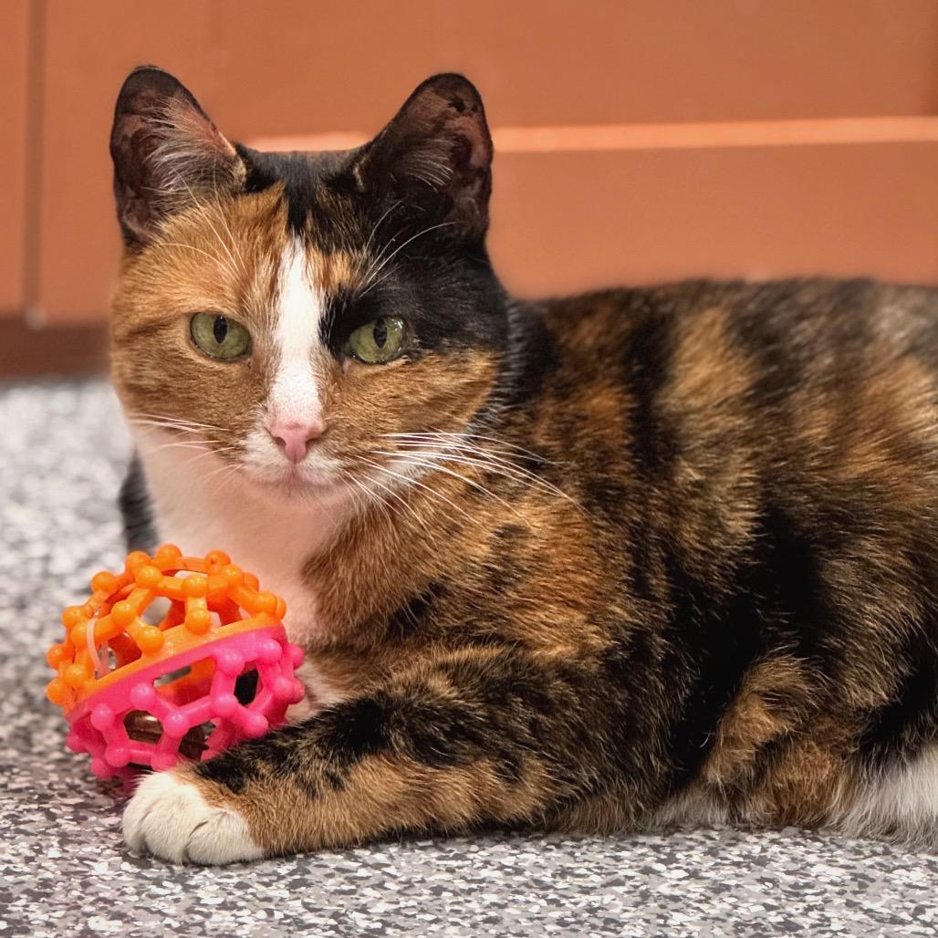 Silke — thumbnail 4