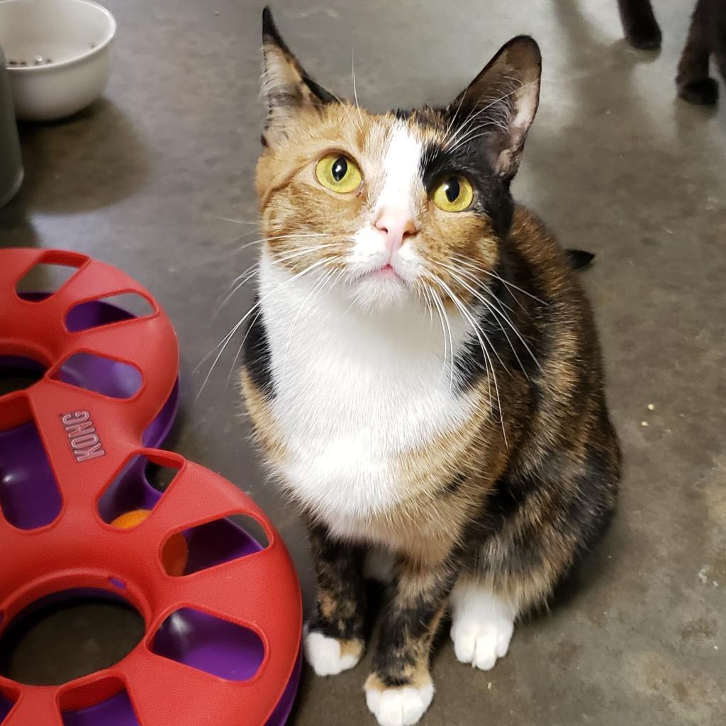 Silke — thumbnail 5