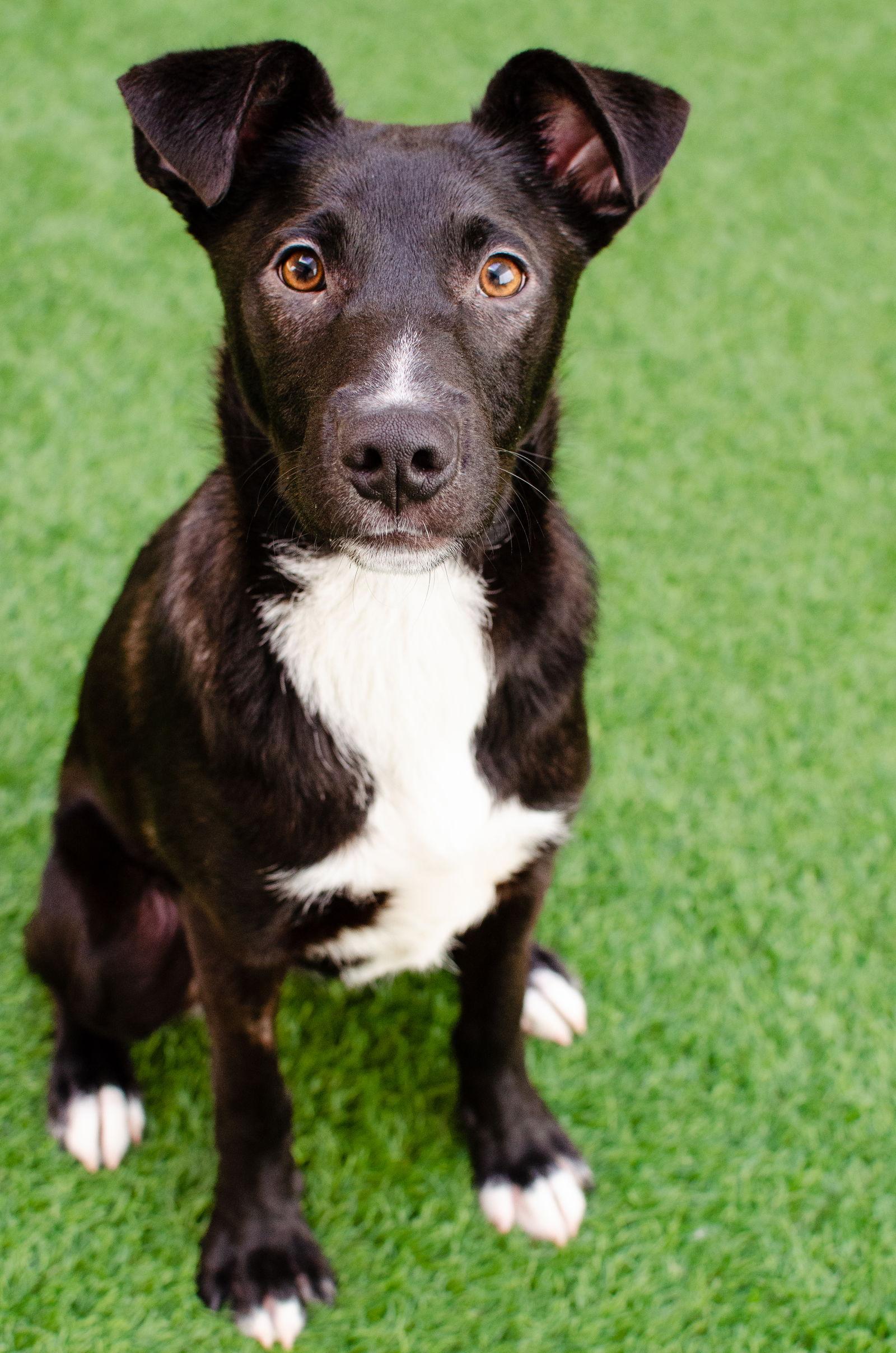 Hennessy — thumbnail 2