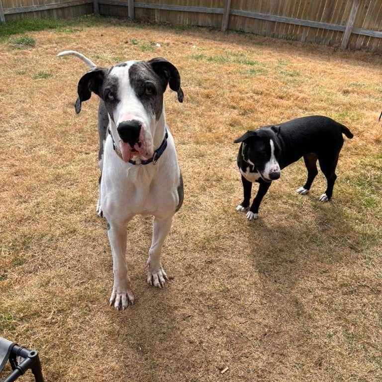 Hugh — thumbnail 5