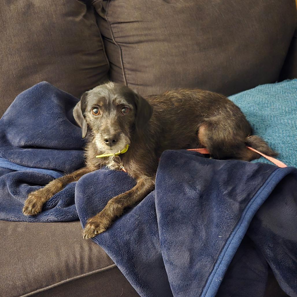 Moana — thumbnail 3