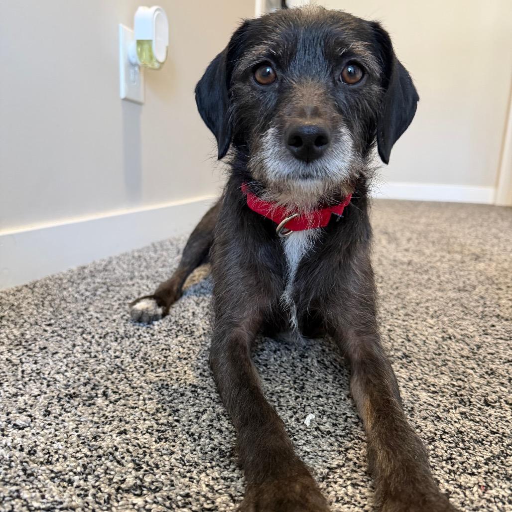 Moana — thumbnail 5