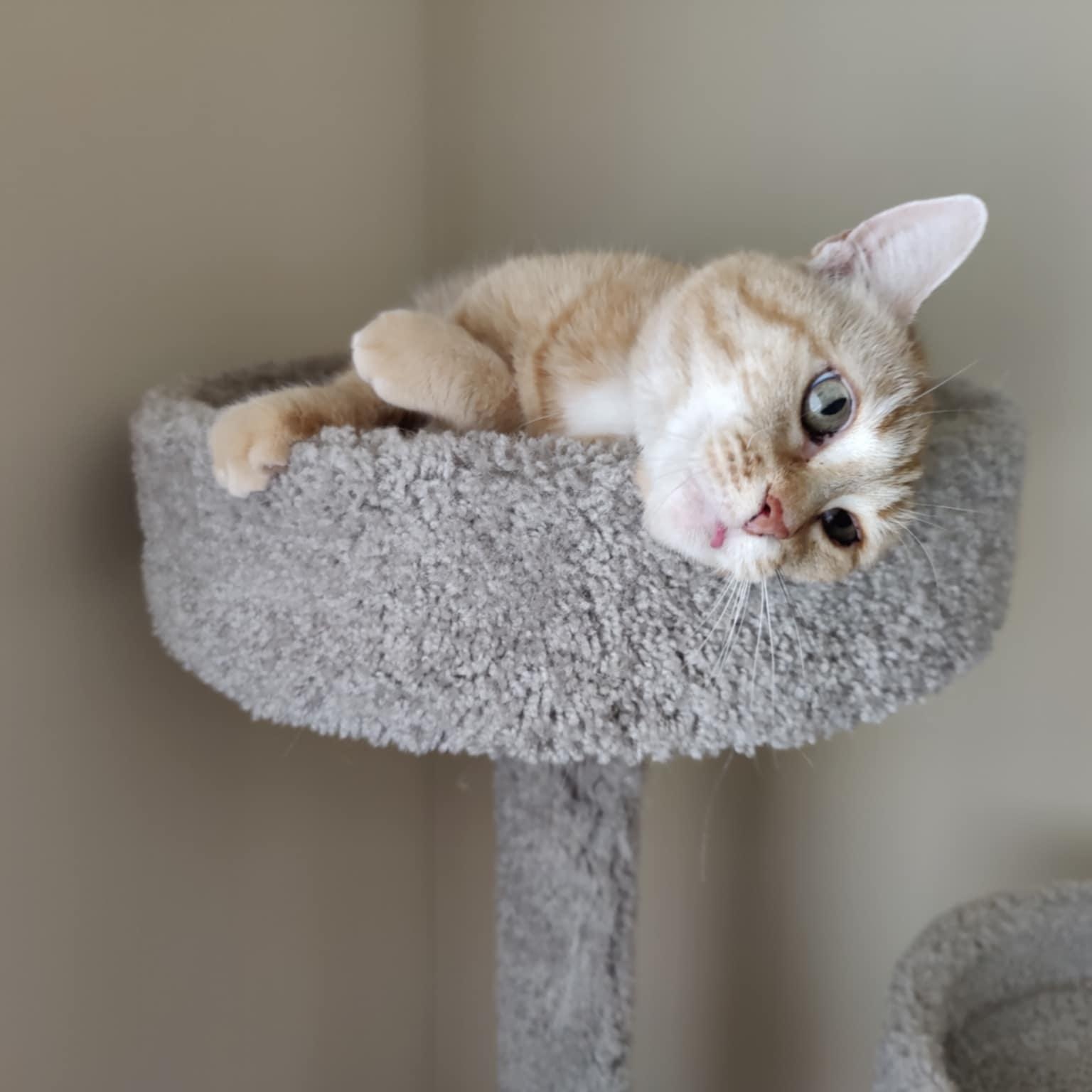 April, Senior Female unknown