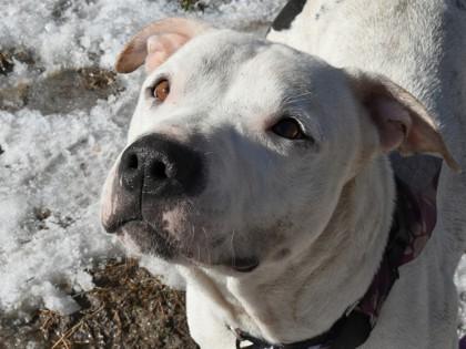 Mulan — thumbnail 2