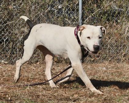 Mulan — thumbnail 3