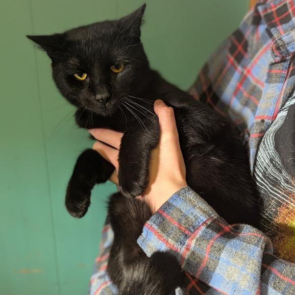 Kirk Purrbstreit thumbnail 2