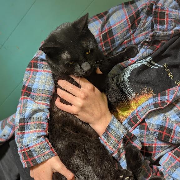 Kirk Purrbstreit thumbnail 3